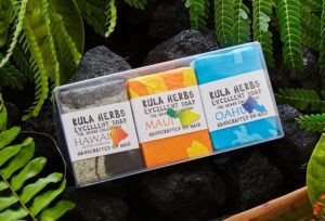 3-Pack Guest Bar Soap - Hawaii