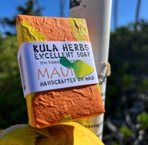 Maui Soap with Coconut Mango